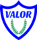 valornet logo, 55x59
