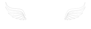 ACE logo, wing2WHITE-300x96