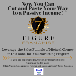 7 Figure Franchise by Michael Cheney