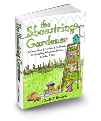 The Shoestring Gardener