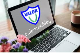 valornet logo flower computer