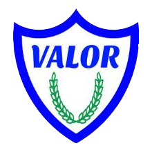 valornet shield