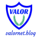 Valornet logo